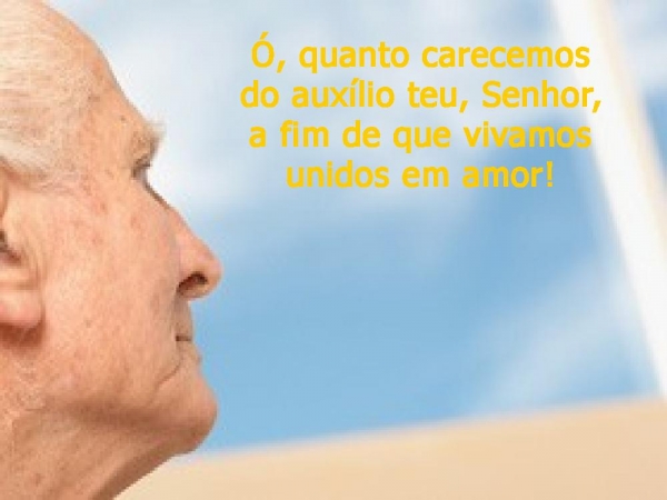 Jesus, pastor amado - página 6
