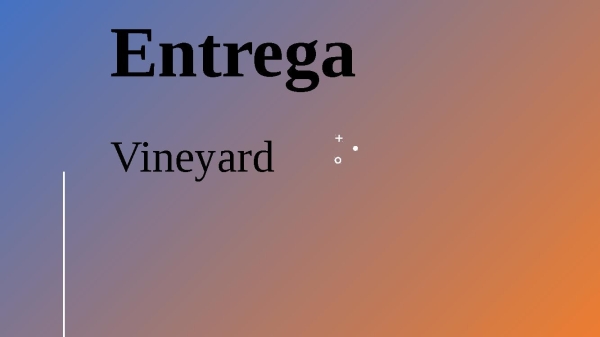 Entrega - Vineyard Atualizado 10-09