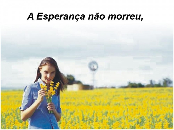Diz o pai - página 21