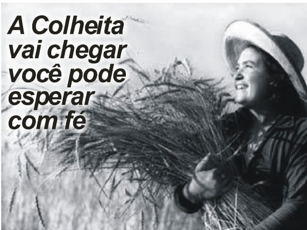 Diz o pai - página 6