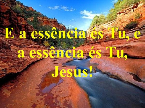 ESSENCIA DA ADORAÇÃO - página 11