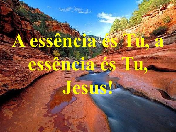 ESSENCIA DA ADORAÇÃO - página 13