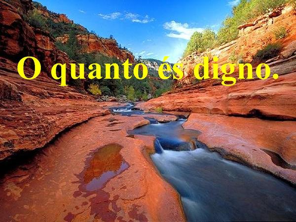 ESSENCIA DA ADORAÇÃO - página 15