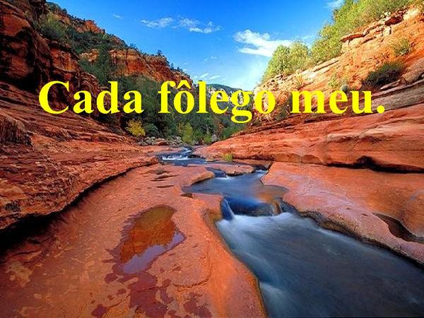 ESSENCIA DA ADORAÇÃO - página 17