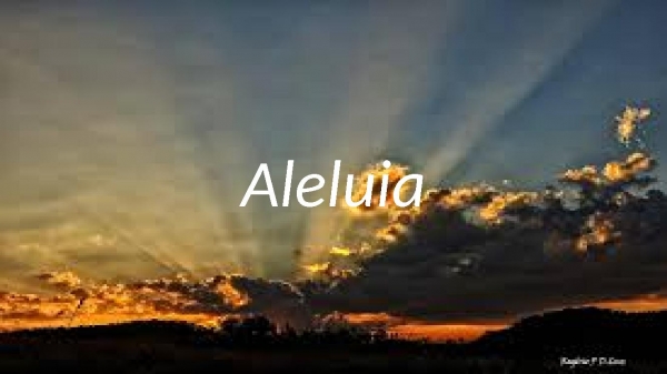 Aleluia