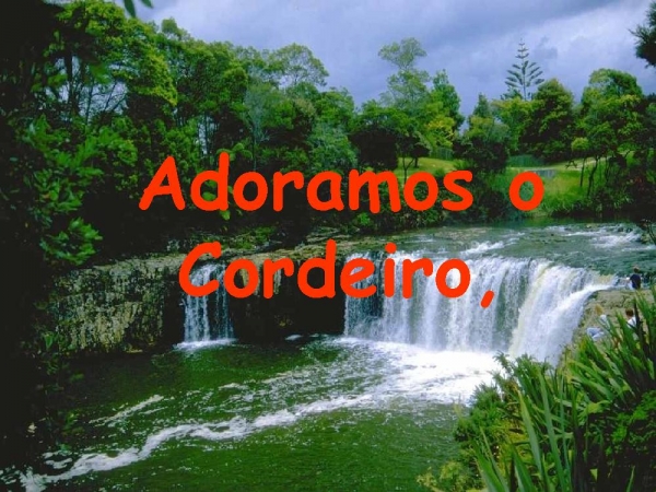ADORAMOS O CORDEIRO - página 4