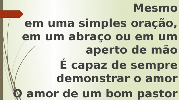 Pastor Amigo - André Bereta1.pptx - página 8