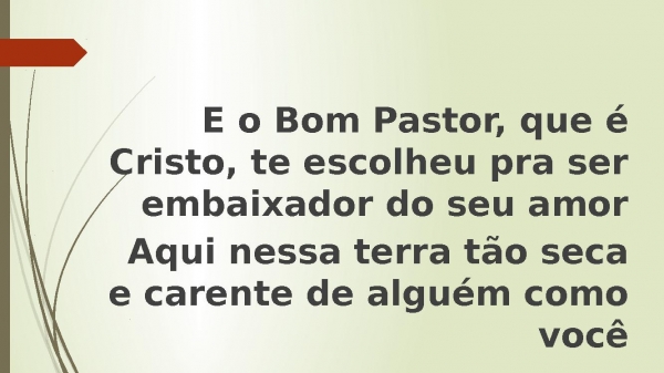 Pastor Amigo - André Bereta1.pptx - página 10