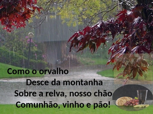 Vinho e Pão - página 3
