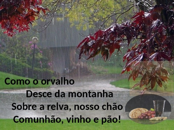Vinho e Pão - página 7