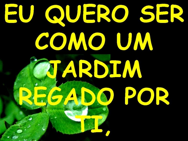 TOTALMENTE TEU - página 2