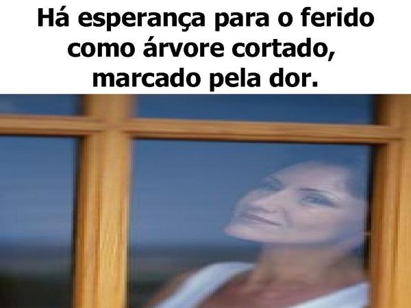 Cheiro das Águas - Há esperança - página 2