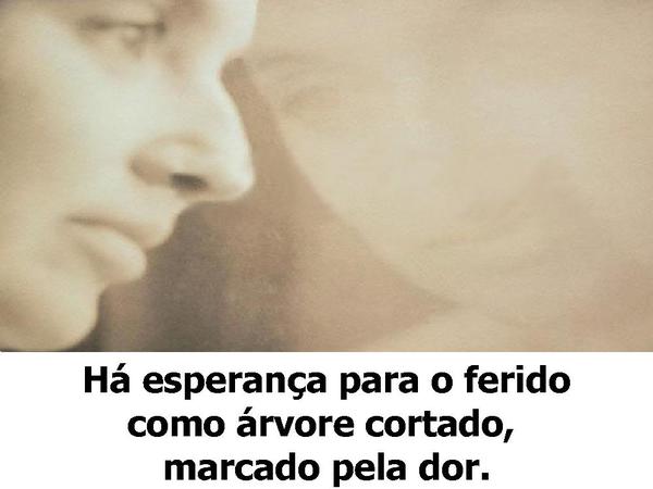 Cheiro das Águas - Há esperança - página 11