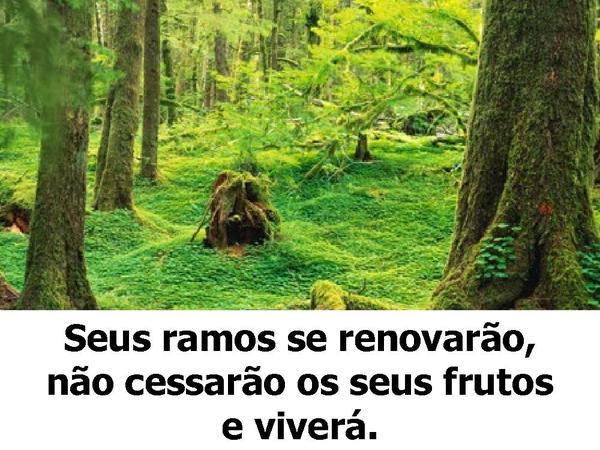 Cheiro das Águas - Há esperança - página 15