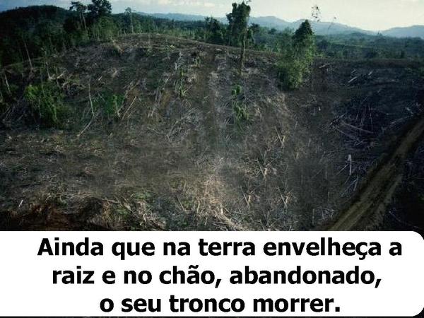 Cheiro das Águas - Há esperança - página 3