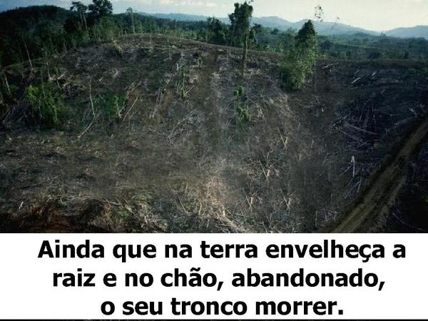 Cheiro das Águas - Há esperança - página 5