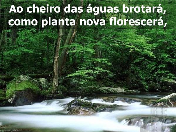 Cheiro das Águas - Há esperança - página 7