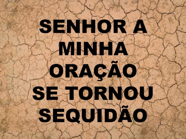 TERRA SECA.pptx - página 11