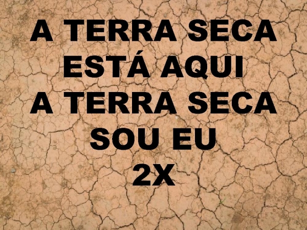 TERRA SECA.pptx - página 15
