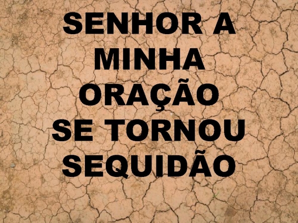 TERRA SECA.pptx - página 5