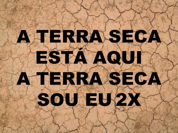 TERRA SECA.pptx - página 9