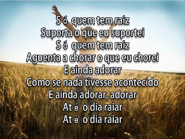 Só quem tem Raiz - página 4