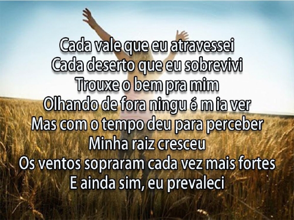 Só quem tem Raiz - página 5