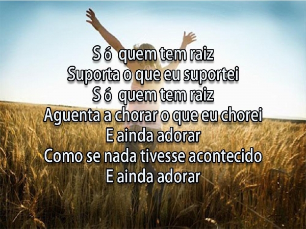 Só quem tem Raiz - página 6