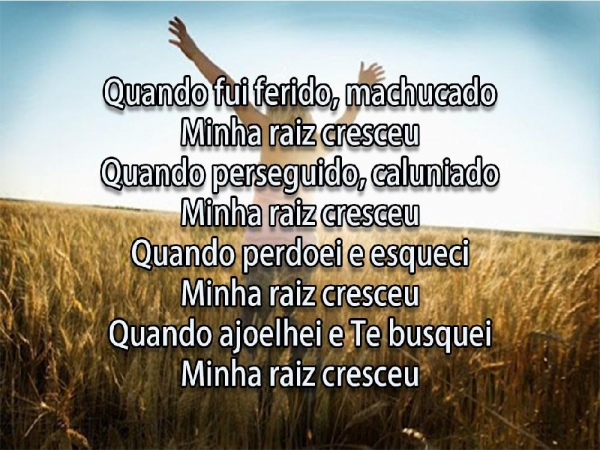 Só quem tem Raiz - página 7