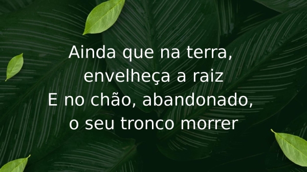 O Cheiro das Águas - página 3