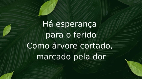O Cheiro das Águas - página 4