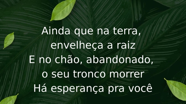 O Cheiro das Águas - página 5