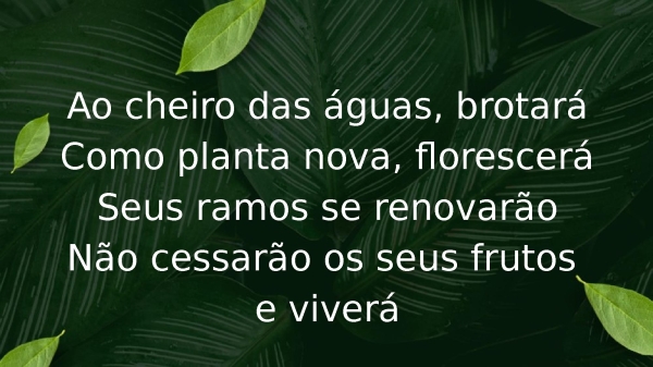 O Cheiro das Águas - página 6