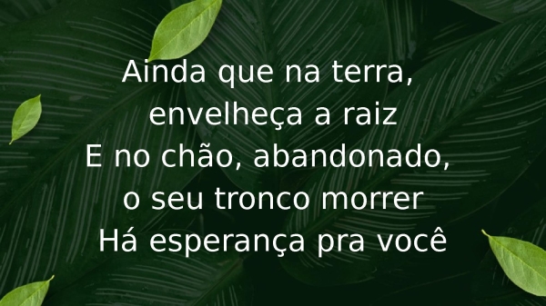 O Cheiro das Águas - página 8