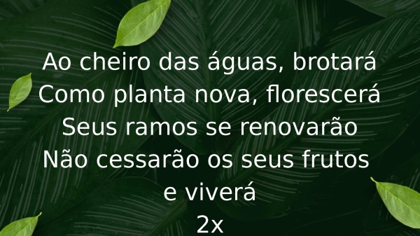 O Cheiro das Águas - página 9