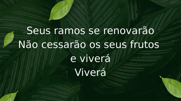 O Cheiro das Águas - página 10