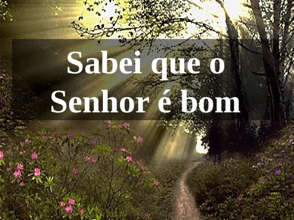 CELEBRAI COM JÚBILO - página 6
